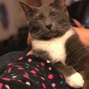 Meet your Posher, Ashlee